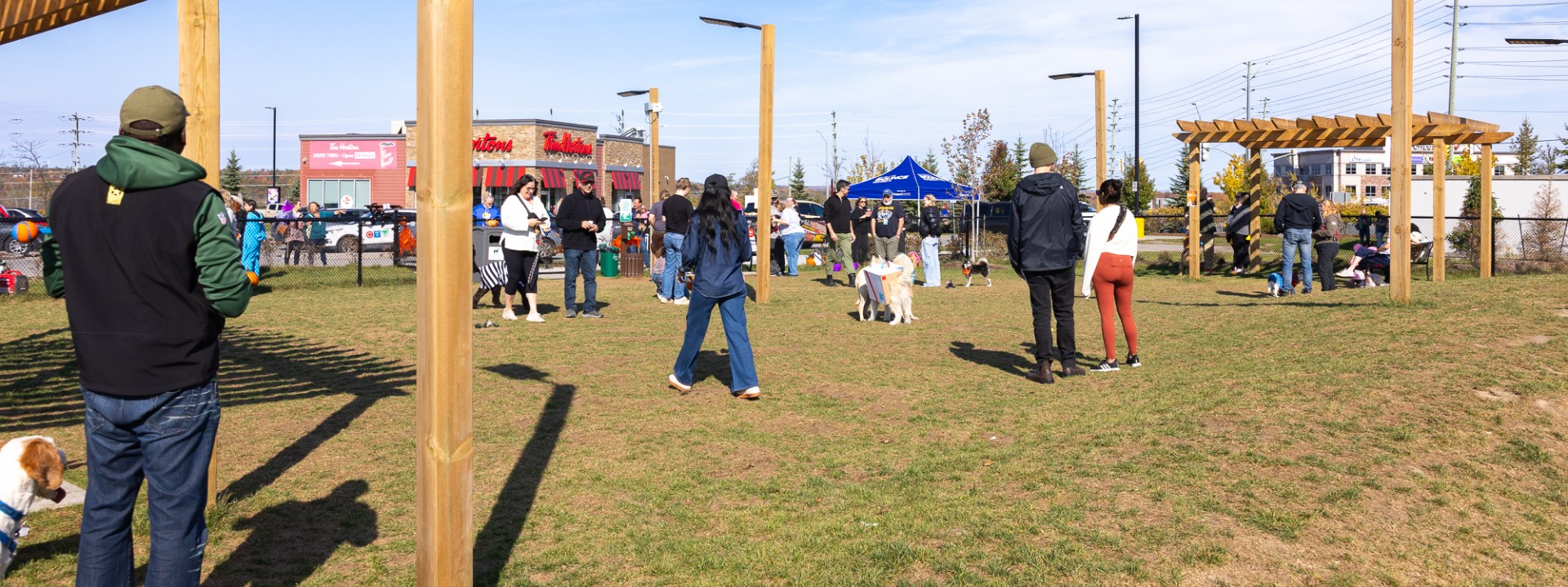 Choice Properties Dog Runs Banner