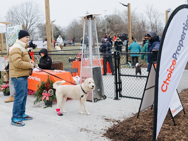 Toronto Dog Run