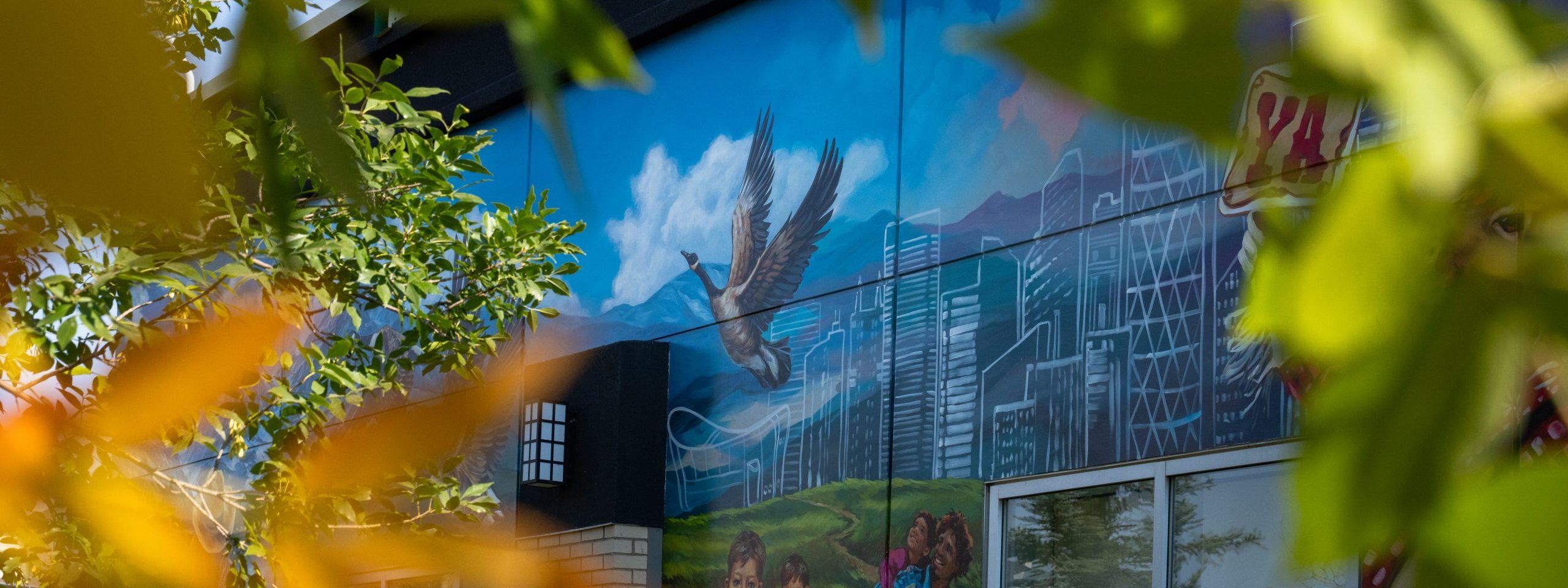 Birdwatching Banner