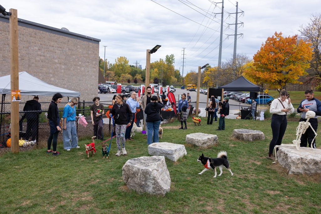 30039 2025 Hallowoof 11 Redway Toronto ON 49 1 1024x683