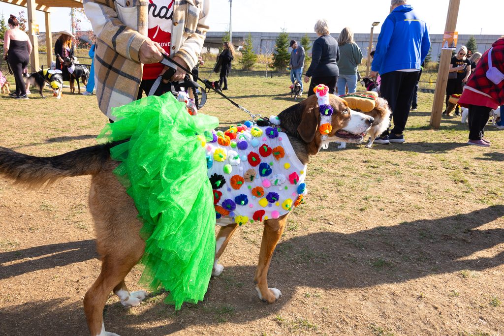33485 2025 Hallowoof Cundles Duckworth Barrie ON 132 1024x683