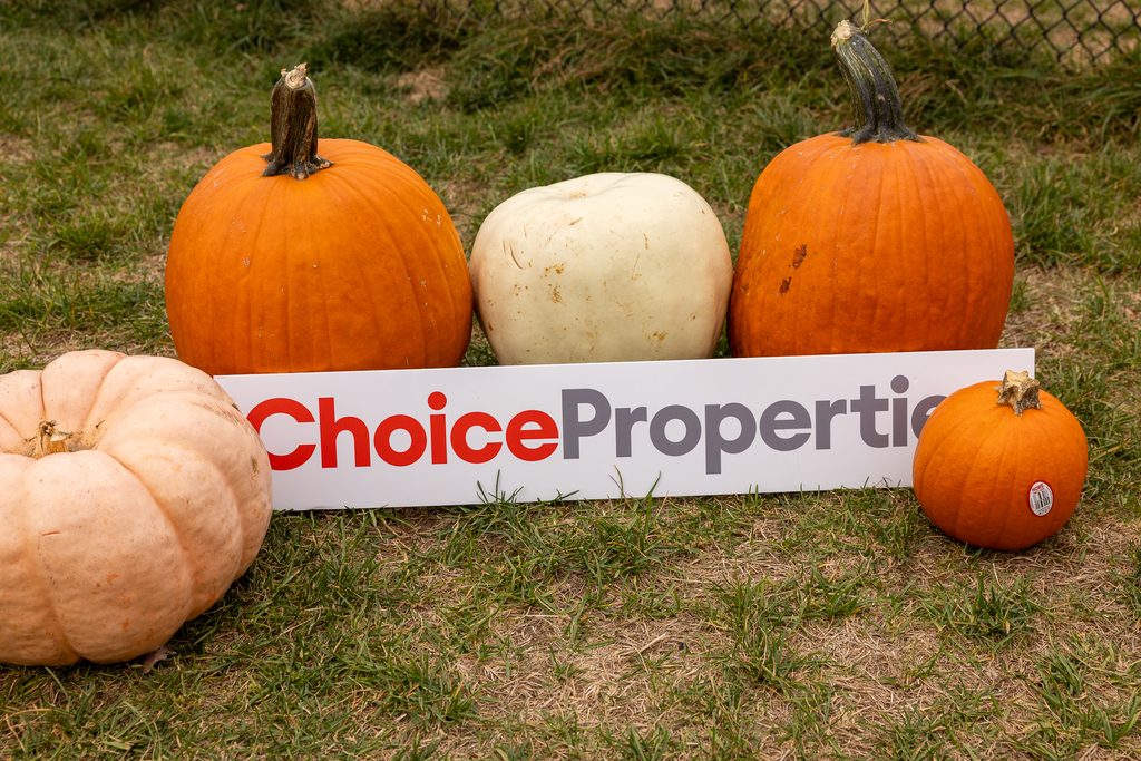 33485 2025 Hallowoof Cundles Duckworth Barrie ON 173 1024x683